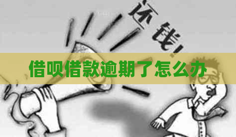 信用卡借款逾期了怎么办