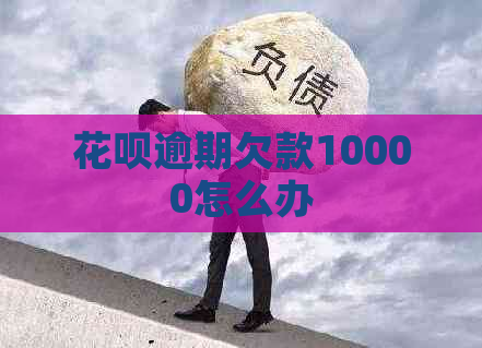 白条逾期欠款10000怎么办