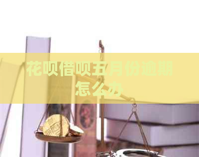 白条信用卡五月份逾期怎么办