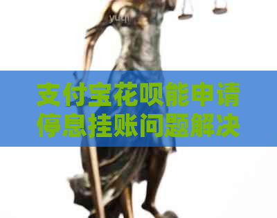 信用卡白条能申请停息挂账问题解决方案