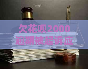 欠白条2000逾期被起诉应该怎么应对