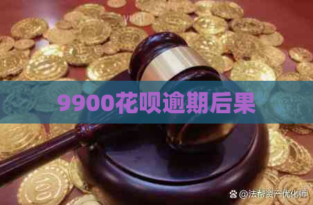 9900白条逾期后果