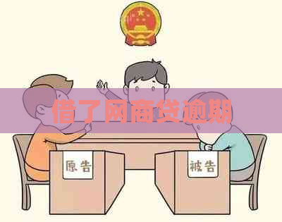 借了白条贷逾期