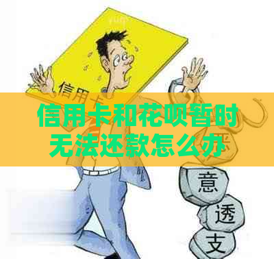 信用卡和白条暂时无法还款怎么办