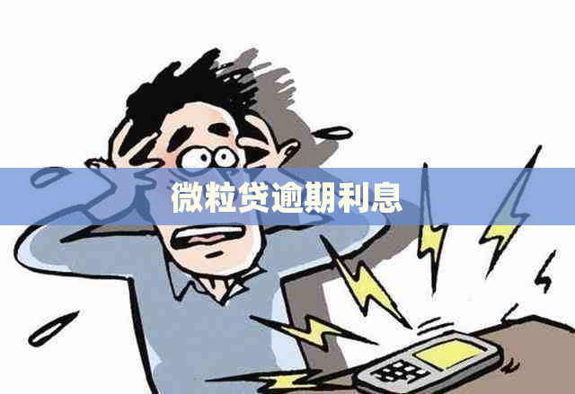 微粒贷逾期利息