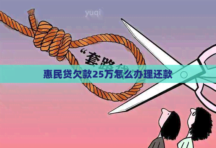 惠民贷欠款25万怎么办理还款