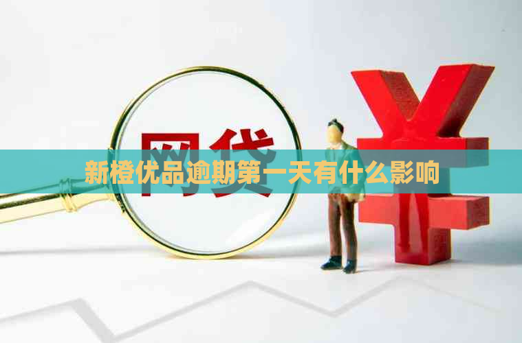新橙优品逾期之一天有什么影响