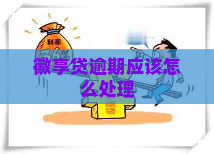 徽享贷逾期应该怎么处理