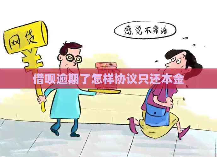 信用卡逾期了怎样协议只还本金