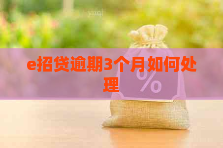 e招贷逾期3个月如何处理