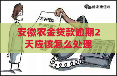 安徽农金贷款逾期2天应该怎么处理