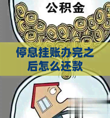 停息挂账办完之后怎么还款