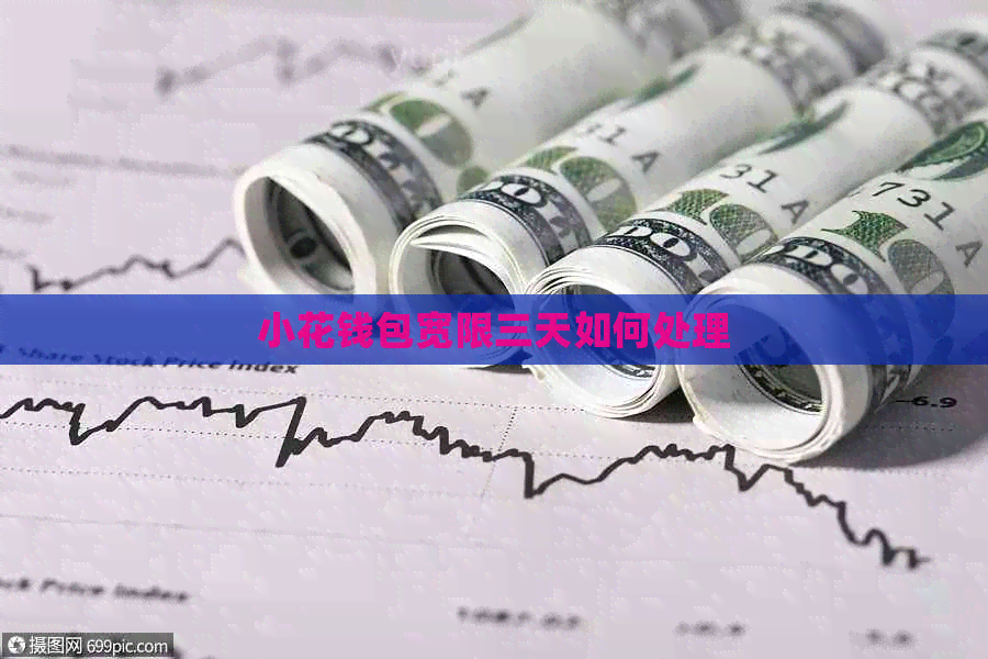 小花钱包宽限三天如何处理