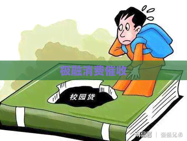 极融消费