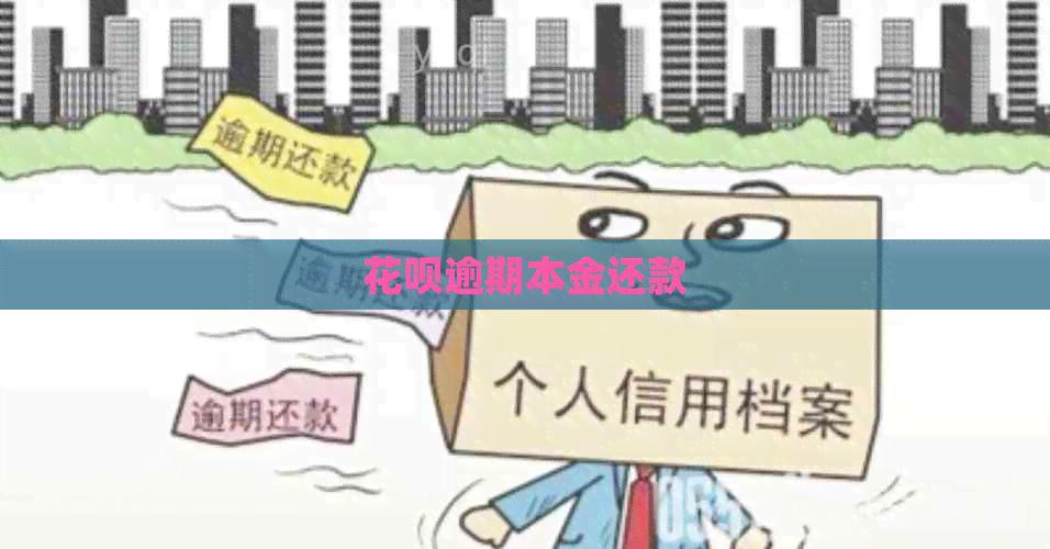 白条逾期本金还款