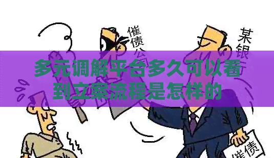 多元调解平台多久可以看到立案流程是怎样的