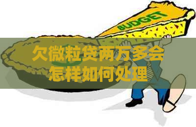 欠微粒贷两万多会怎样如何处理