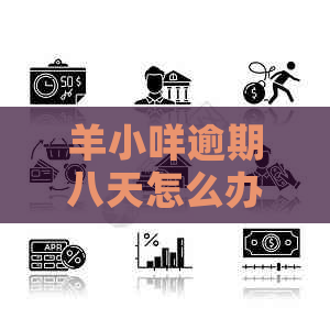 羊小咩逾期八天怎么办
