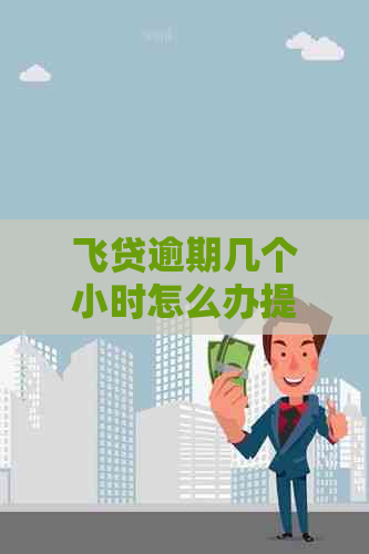 飞贷逾期几个小时怎么办提前还款方法
