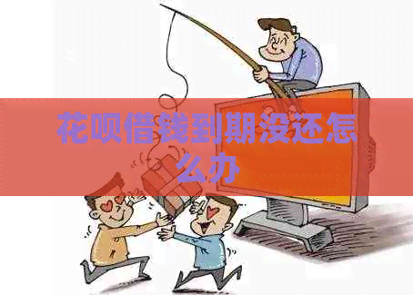 白条借钱到期没还怎么办