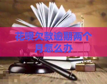 白条欠款逾期两个月怎么办