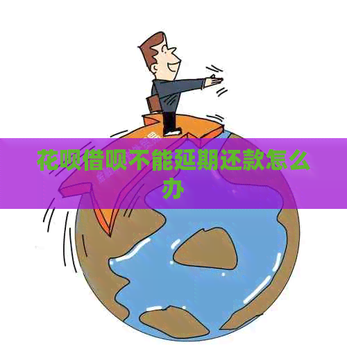 白条信用卡不能延期还款怎么办