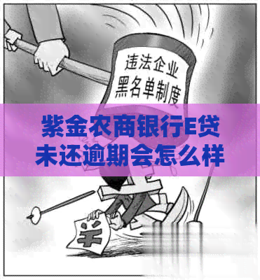 紫金农商银行E贷未还逾期会怎么样