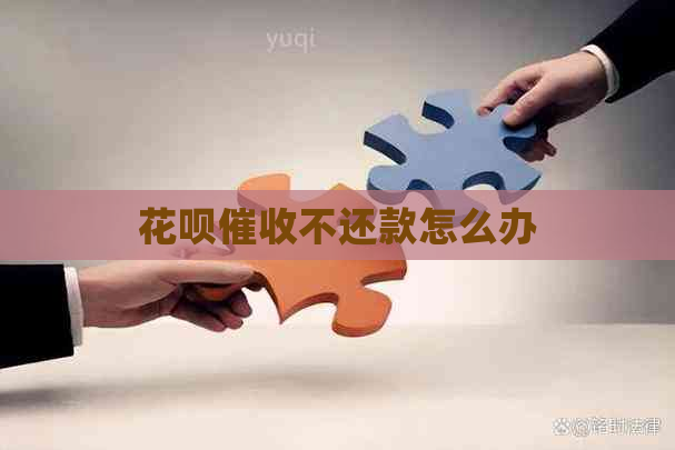 白条不还款怎么办