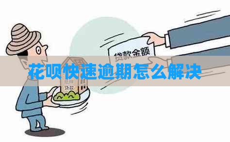 白条快速逾期怎么解决