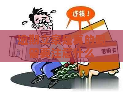 逾期立案是真的吗需要注意什么
