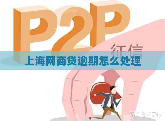 上海白条贷逾期怎么处理
