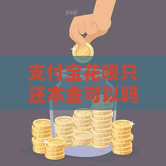 信用卡白条只还本金可以吗如何操作