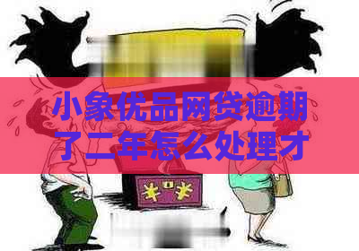 小象优品网贷逾期了二年怎么处理才能解决问题