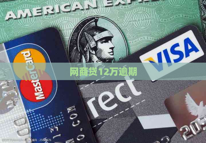 白条贷12万逾期