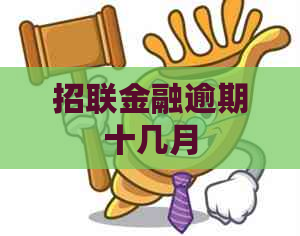 招联金融逾期十几月