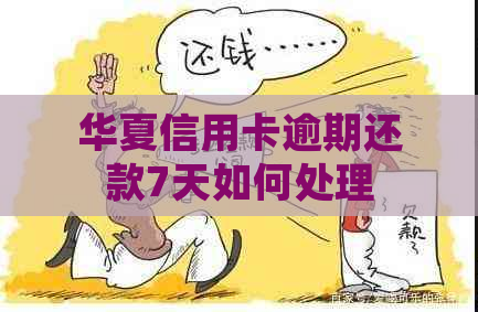 华夏信用卡逾期还款7天如何处理