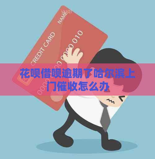 花呗借呗逾期了哈尔滨上门怎么办