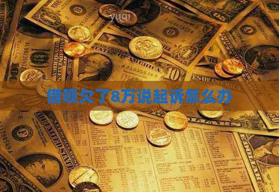 借呗欠了8万说起诉怎么办