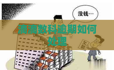 滴滴数科逾期如何处理
