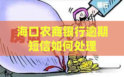 海口农商银行逾期短信如何处理