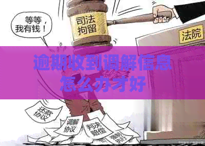 逾期收到调解信息怎么办才好