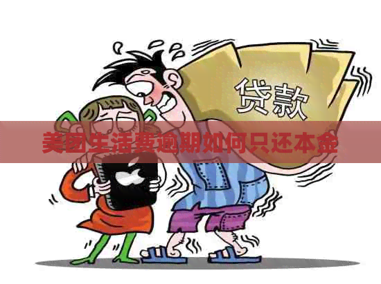 美团生活费逾期如何只还本金
