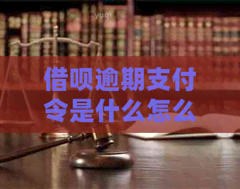 信用卡逾期支付令是什么怎么处理