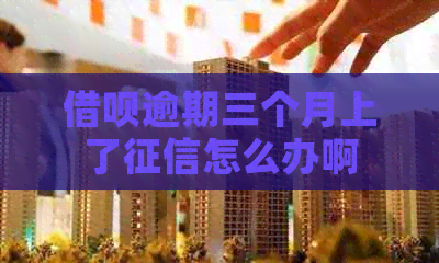 信用卡逾期三个月上了怎么办啊