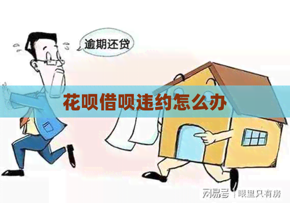 白条信用卡违约怎么办