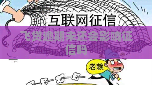 飞贷逾期未还会影响吗