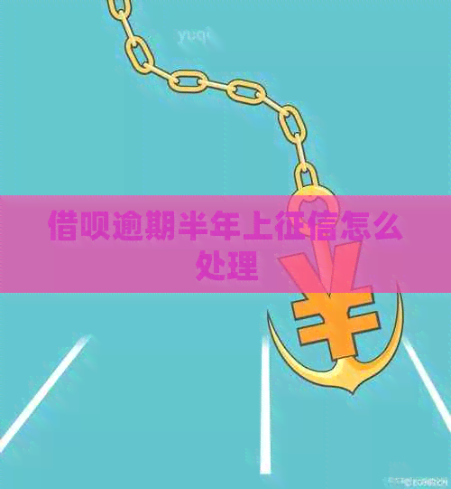 信用卡逾期半年上怎么处理