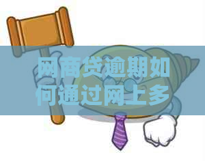 白条贷逾期如何通过网上多元调解解决