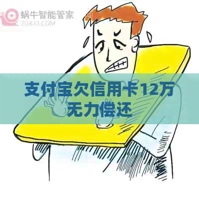 信用卡欠信用卡12万无力偿还