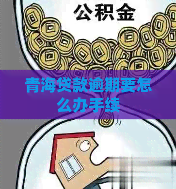 青海贷款逾期要怎么办手续